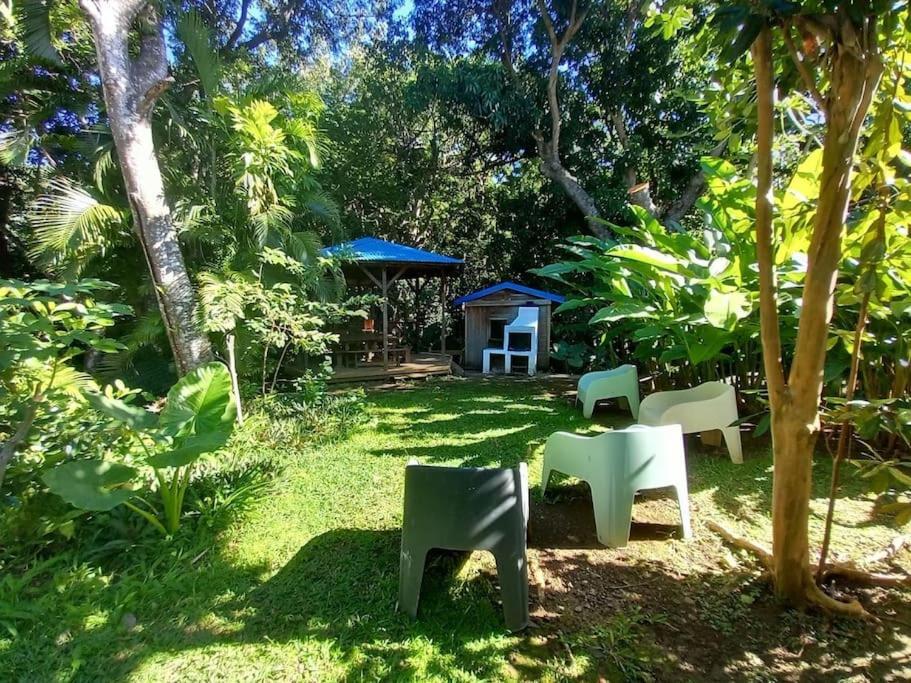 Ti Paradis A 200 M De Grande Anse