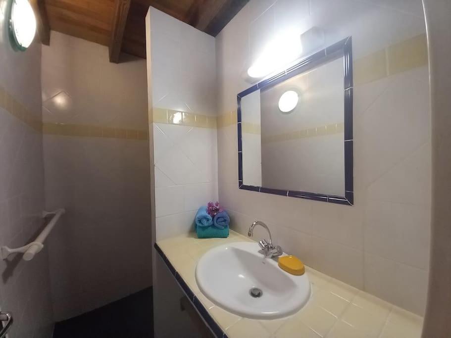 Appartement Ti Paradis A 200 M De Grande Anse
