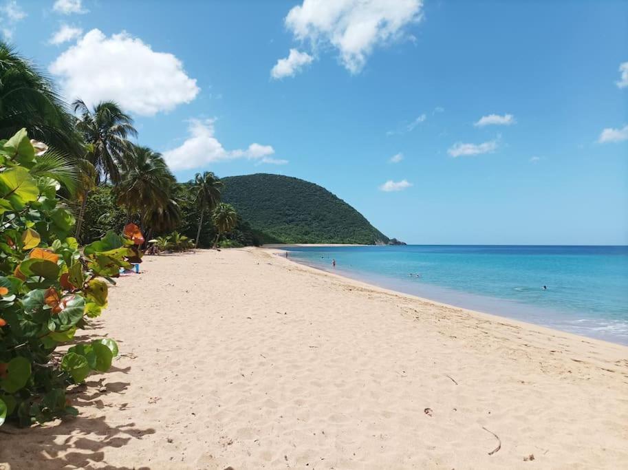 Ti Paradis A 200 M De Grande Anse